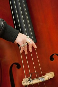 Musical String Instrument Royalty Free Stock Photos Musical String Instrument Royalty Free Stock Photos