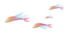 Tropical Fish Stock Images