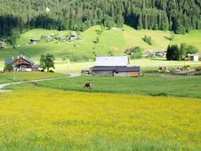 Spring Of Gosau Village Royalty Free Stock Photos Spring Of Gosau Village Royalty Free Stock Photos