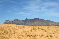 Kelso Sand Dunes, Mojave Desert, California Royalty Free Stock Photography