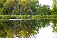 Tranquil Pond Royalty Free Stock Image Tranquil Pond Royalty Free Stock Image