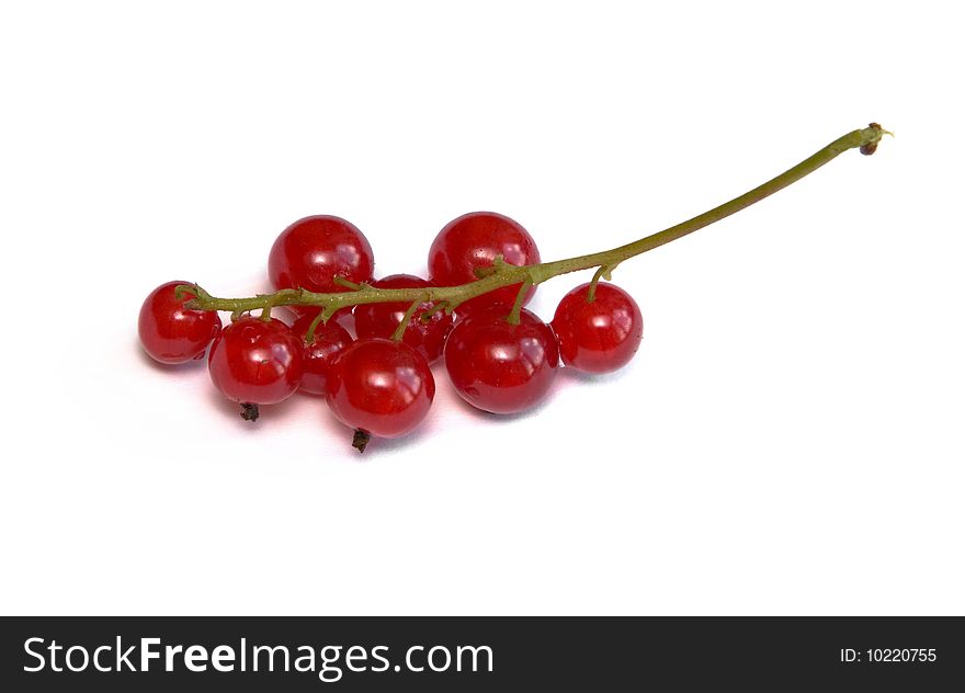 Red currants isolated on white