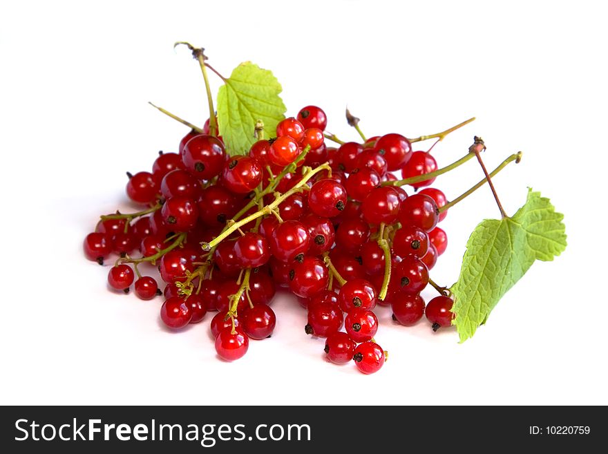 Red currants isolated on white