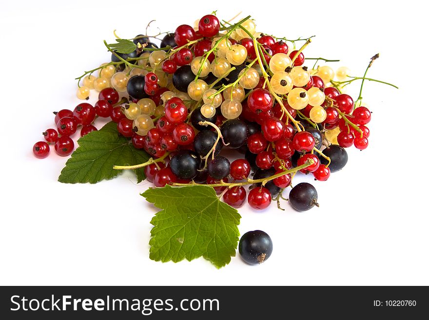 Still life with colored currants. Still life with colored currants