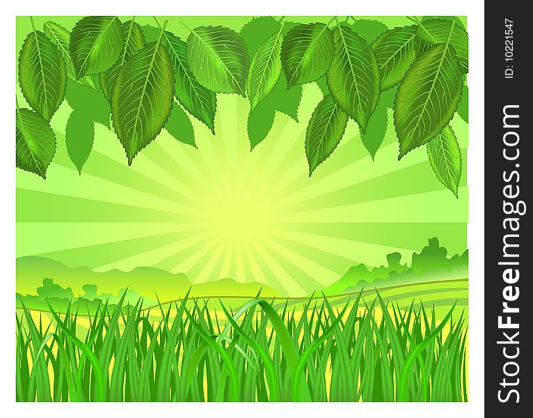 Vector background with leaf and grass in green color, illustration. Vector background with leaf and grass in green color, illustration