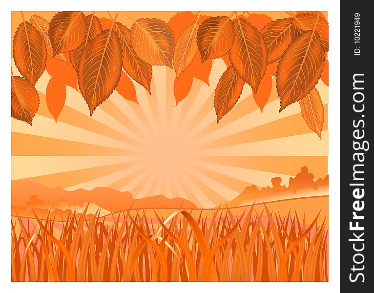 Vector background with leaf and grass in orange color, illustration. Vector background with leaf and grass in orange color, illustration