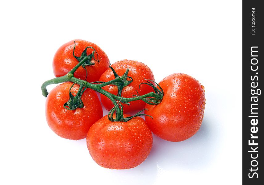 Red tomatoes on a branch with water drops on a white background