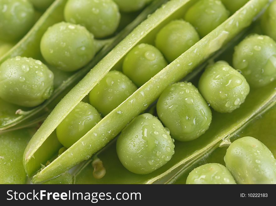 Green peas in pods with water drops