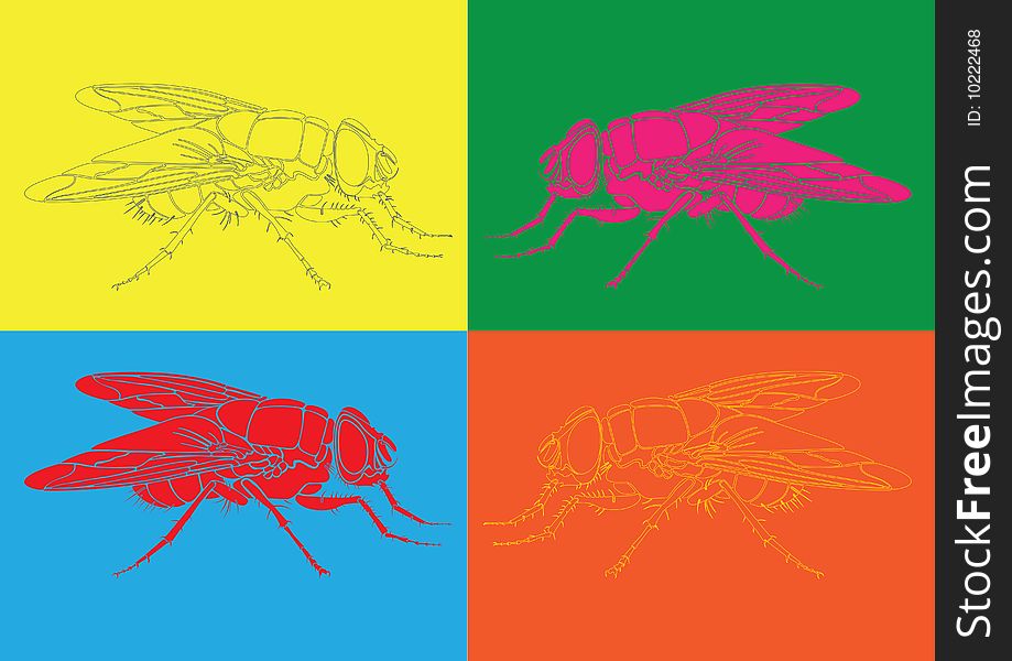 Vector color flies at four different background. Size and color can be changed. Vector color flies at four different background. Size and color can be changed.