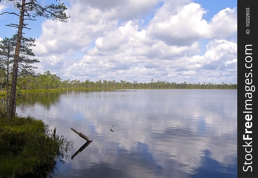 A bog lake in the marsh called Meenikunno, in the South East of Estonia, with forest in the background and clouds reflecting in the water. A bog lake in the marsh called Meenikunno, in the South East of Estonia, with forest in the background and clouds reflecting in the water