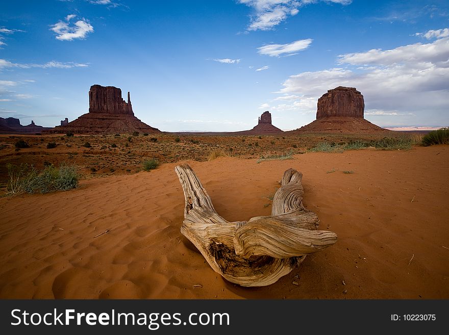Landscape in Monument Valley in summer