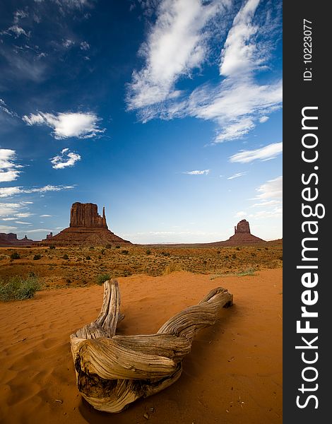 Landscape in Monument Valley in summer