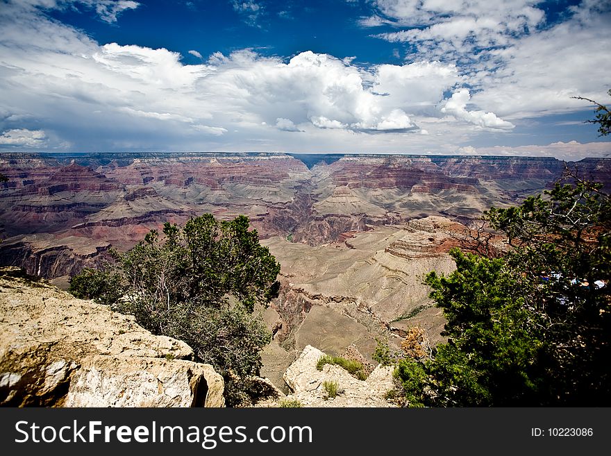 Landscape in Grand Canyon in summer
