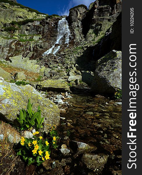 Mountains waterfall with yellow flowers in foreground