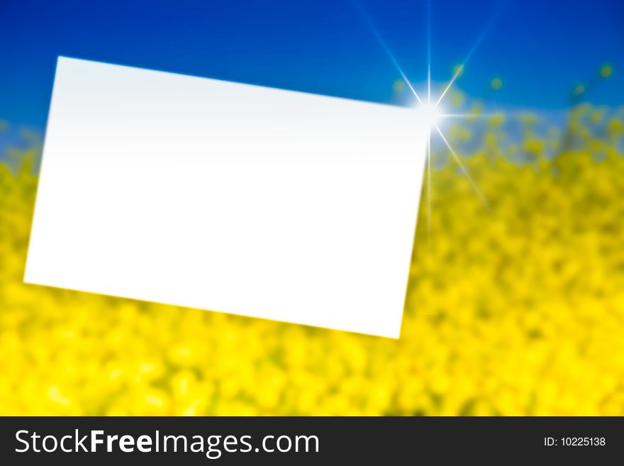 White paper in  yellow field