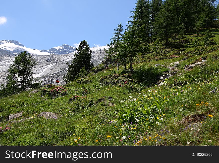 Landscape in the swiss alps. Landscape in the swiss alps