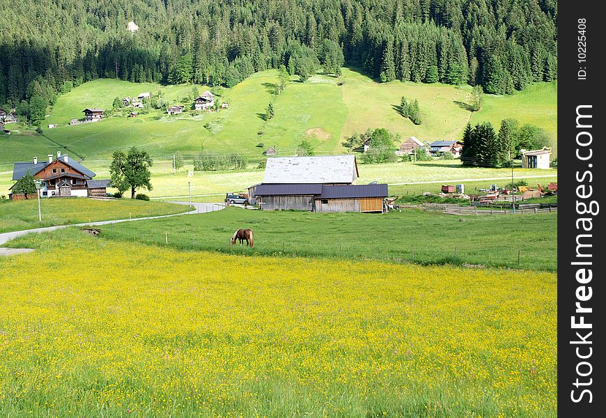 Spring of Gosau village