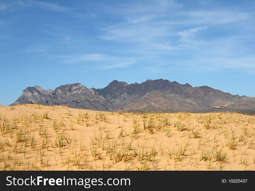 Kelso Sand Dunes in Mojave Desert, California