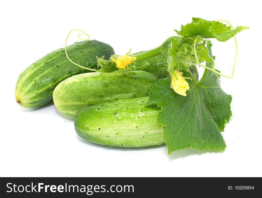 Cucumbers with green leaves isolated on white