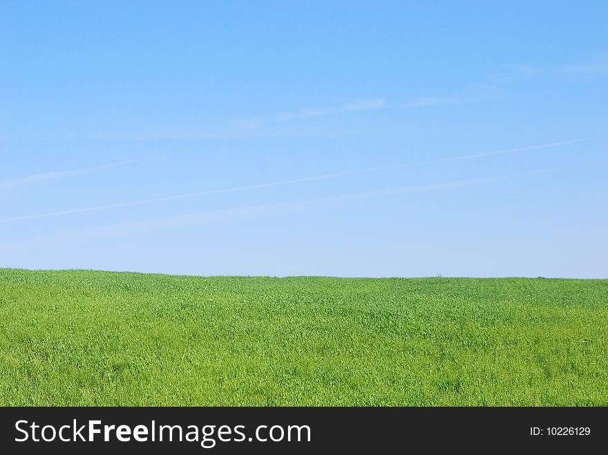 Background of cloudy sky and grass. Background of cloudy sky and grass