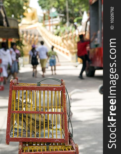 Cages in the Thai monastery. Buddha. Traditions of buddhism