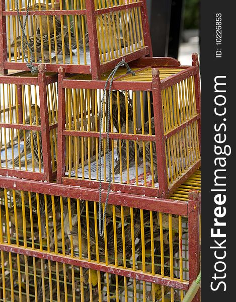 Cages in the Thai monastery. Buddha. Traditions of buddhism