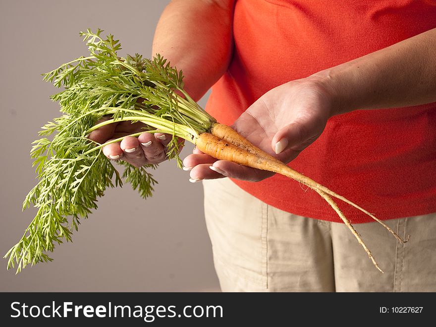 Two freshly picked young carrots