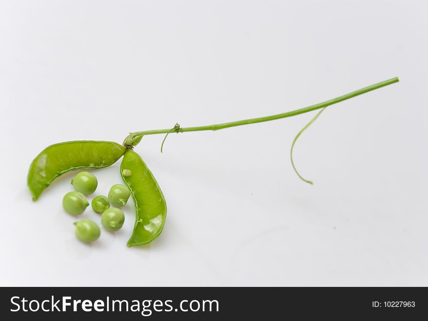 Freshly picked green garden peas with stalk and leaves