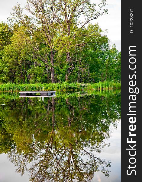 Swimming platform and the trees reflecting in the pond. Swimming platform and the trees reflecting in the pond