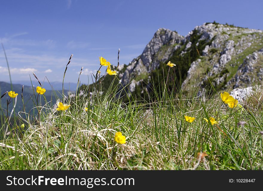 Vanturarita peak located in Buila mountains in the Romanian Carpathians