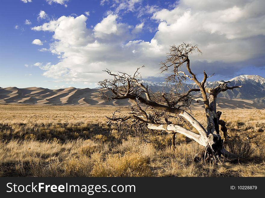 Sand Dune Landscape with snow capped mountains