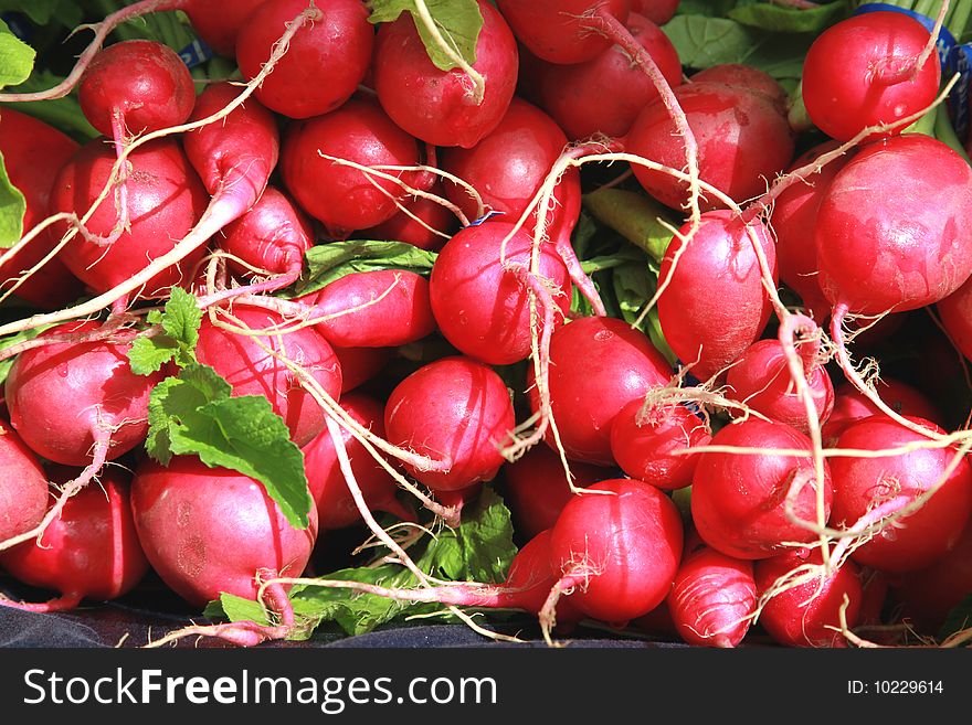 Fresh red radishes for sale at the local farmer's market