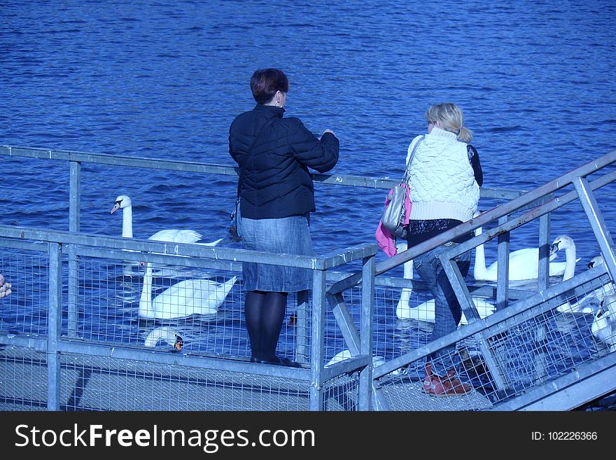 Two Women Feeding The Swans