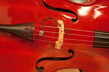 Musical String Instrument Stock Images Musical String Instrument Stock Images