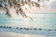 Soft Light Of Sunrise On Tropical Beach Royalty Free Stock Photography