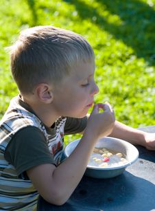 The Boy Eats Wild Strawberry. Stock Image The Boy Eats Wild Strawberry. Stock Image