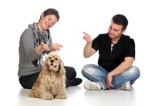 Girl, Guy And American Cocker Spaniel Stock Images