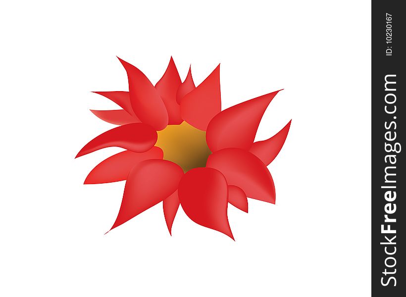 Vector red bloom. Detail illustration