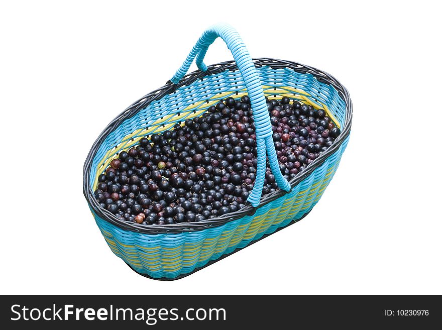 Basket with currants under the white background