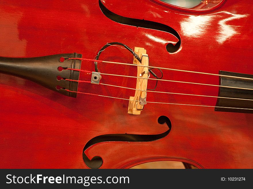 String instrument used for playing in band. String instrument used for playing in band