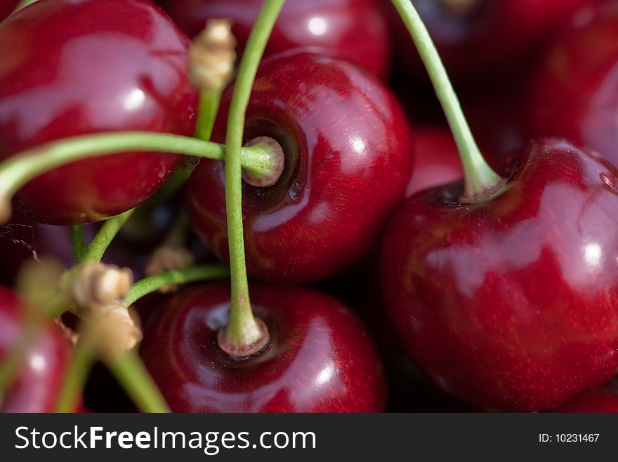 Sweet, delicious red cherries, macro image