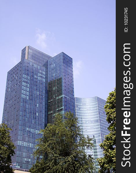 Frankfurt skyline taken from a park. Frankfurt skyline taken from a park