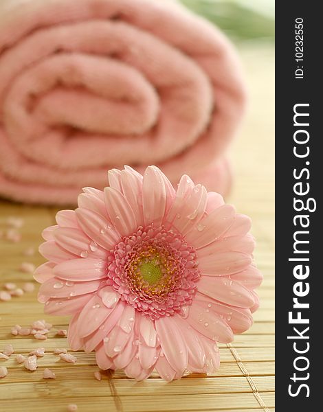 Pink gerber and pink towel. Spa composition.