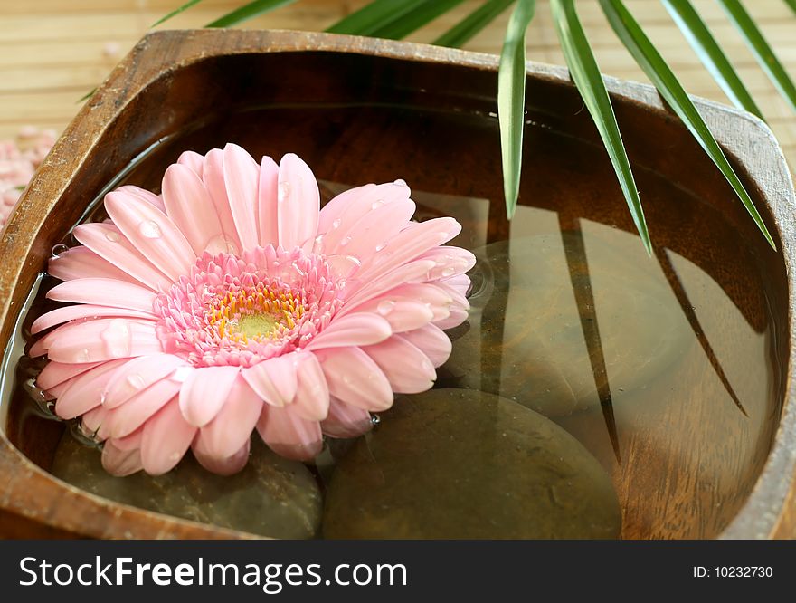 Pink gerber floating in wooden bowl. spa background