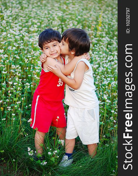 Two little brothers standing outdoor in grass. Two little brothers standing outdoor in grass