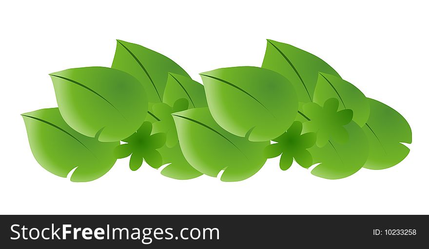 A group of leaves on a white background