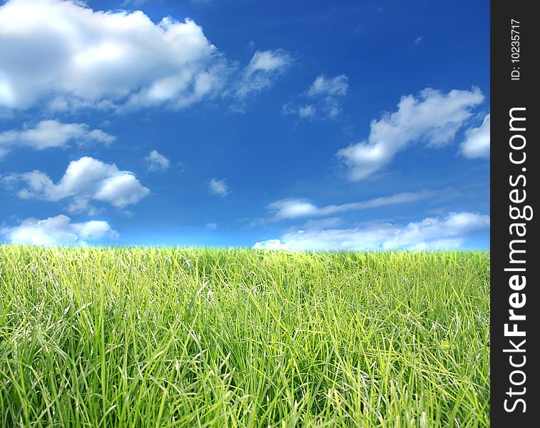 The blue sky with the sun and a green grass. The blue sky with the sun and a green grass.