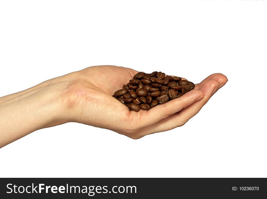 A pile of coffee grains in the hand isolated over white background