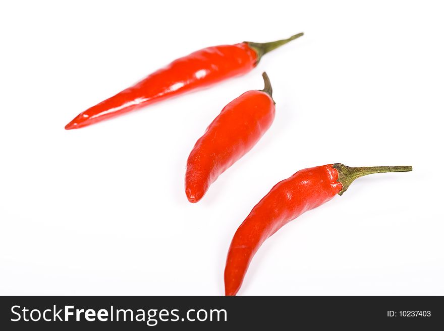 red hot chili pepper on the white background
