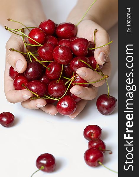 Sweet cherry in woman hand